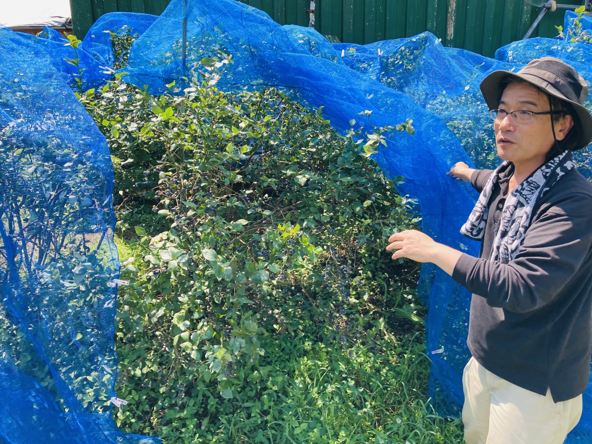 Avant de planter, il faut penser à une structure solide. Crédit C.Delhaye